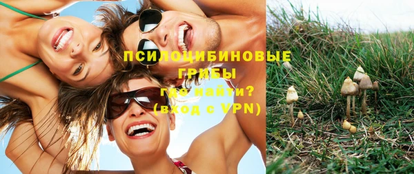 сатива Киренск